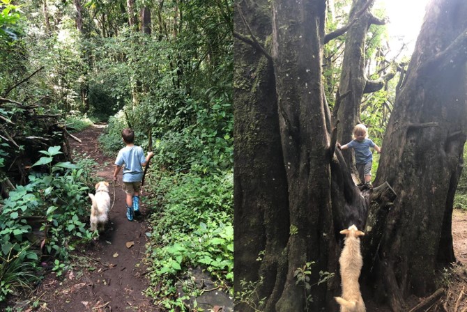 Explorando o ambiente